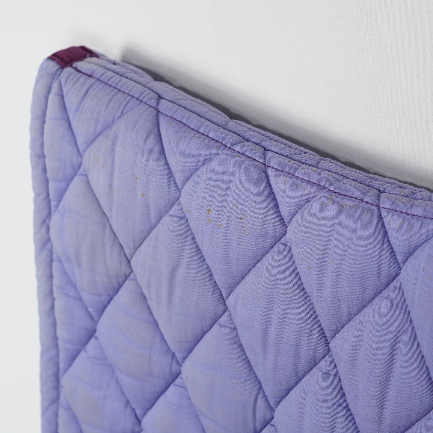 Dressyrschabrak | Full