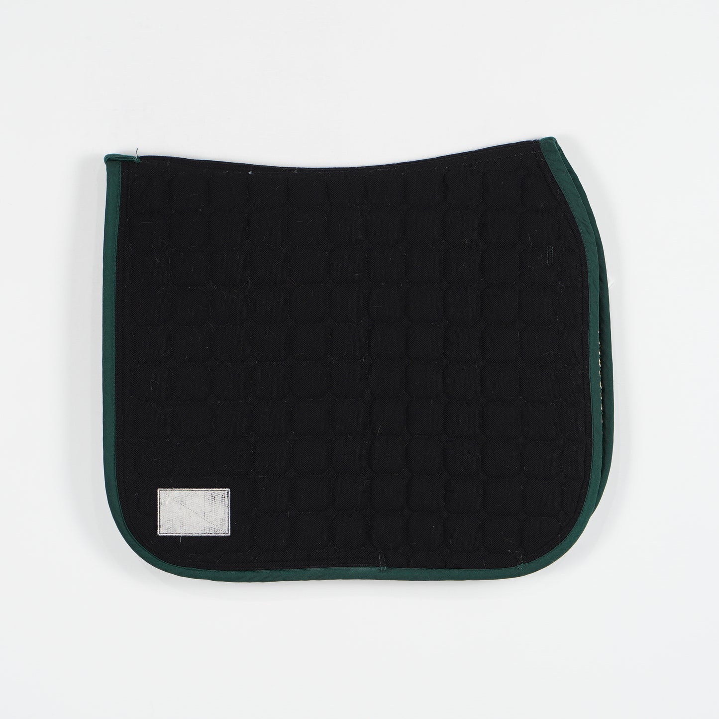 Dressyrschabrak | Full