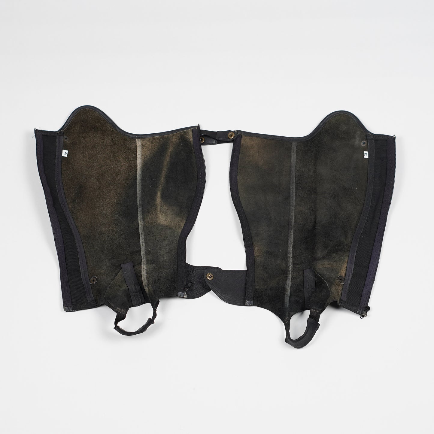 Shortchaps Tampa | M