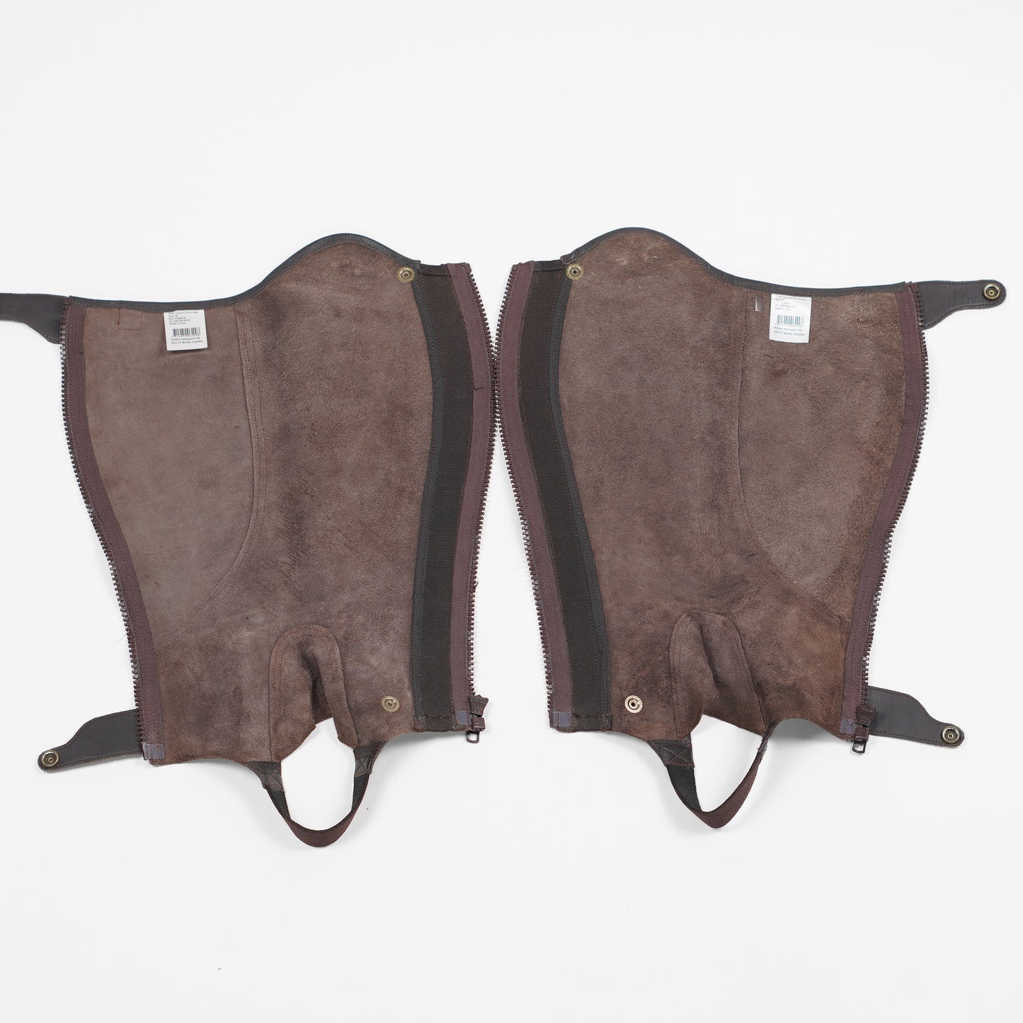 Shortchaps Nevada | M