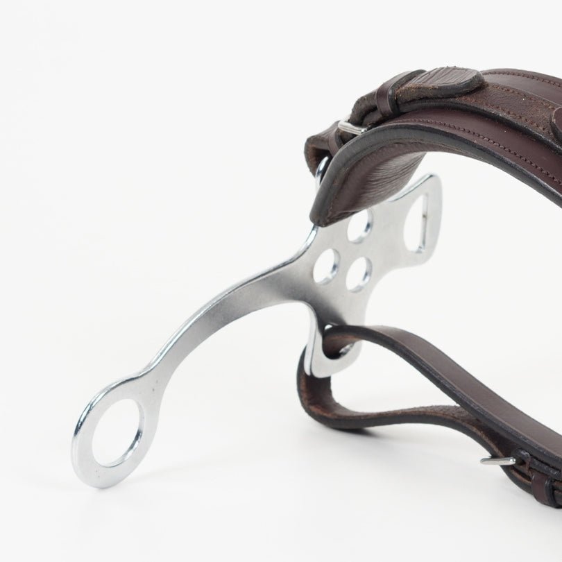 Hackamore - Equipement 