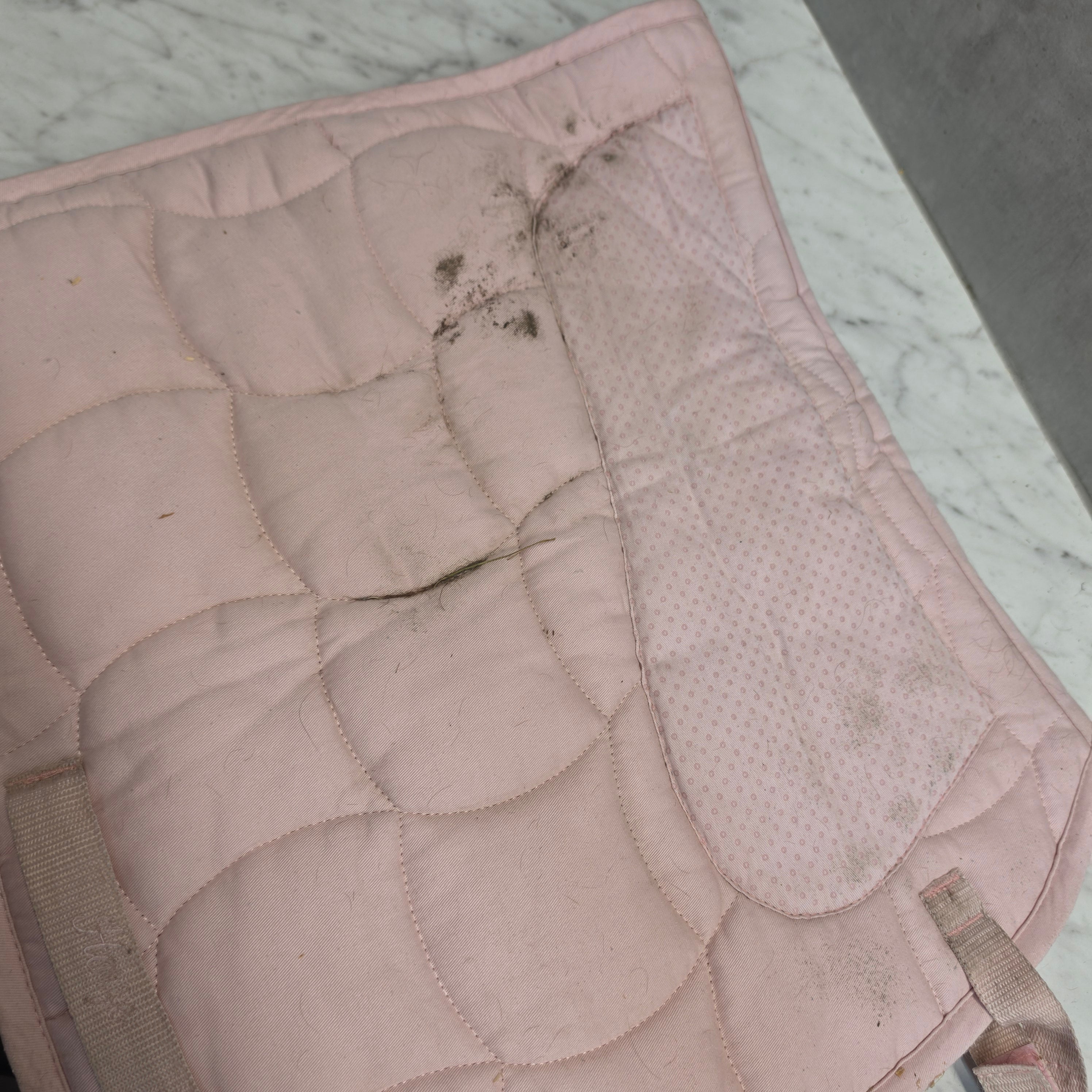 Dressyrschabrak | Ponny