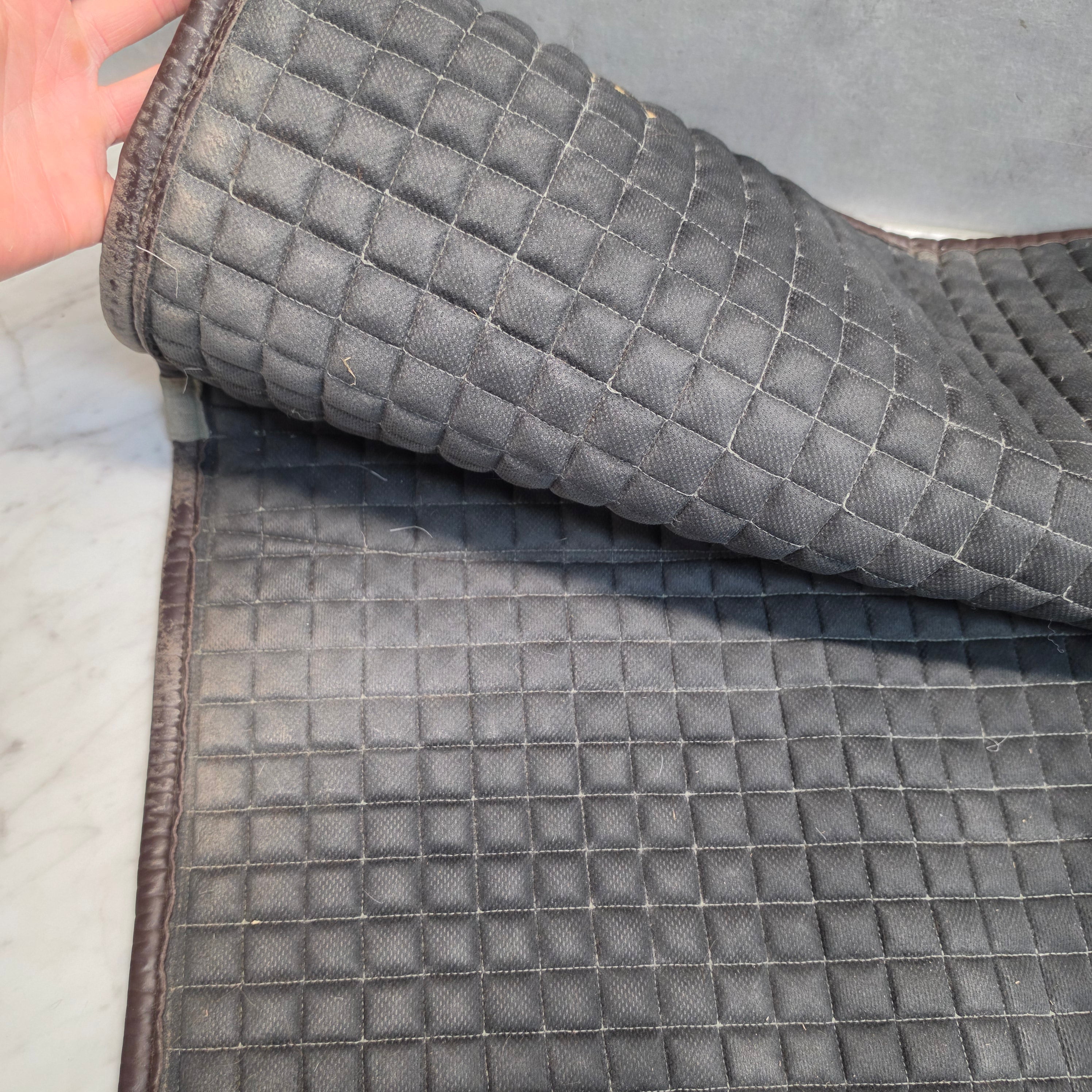 Hoppschabrak Elite Edge | Full
