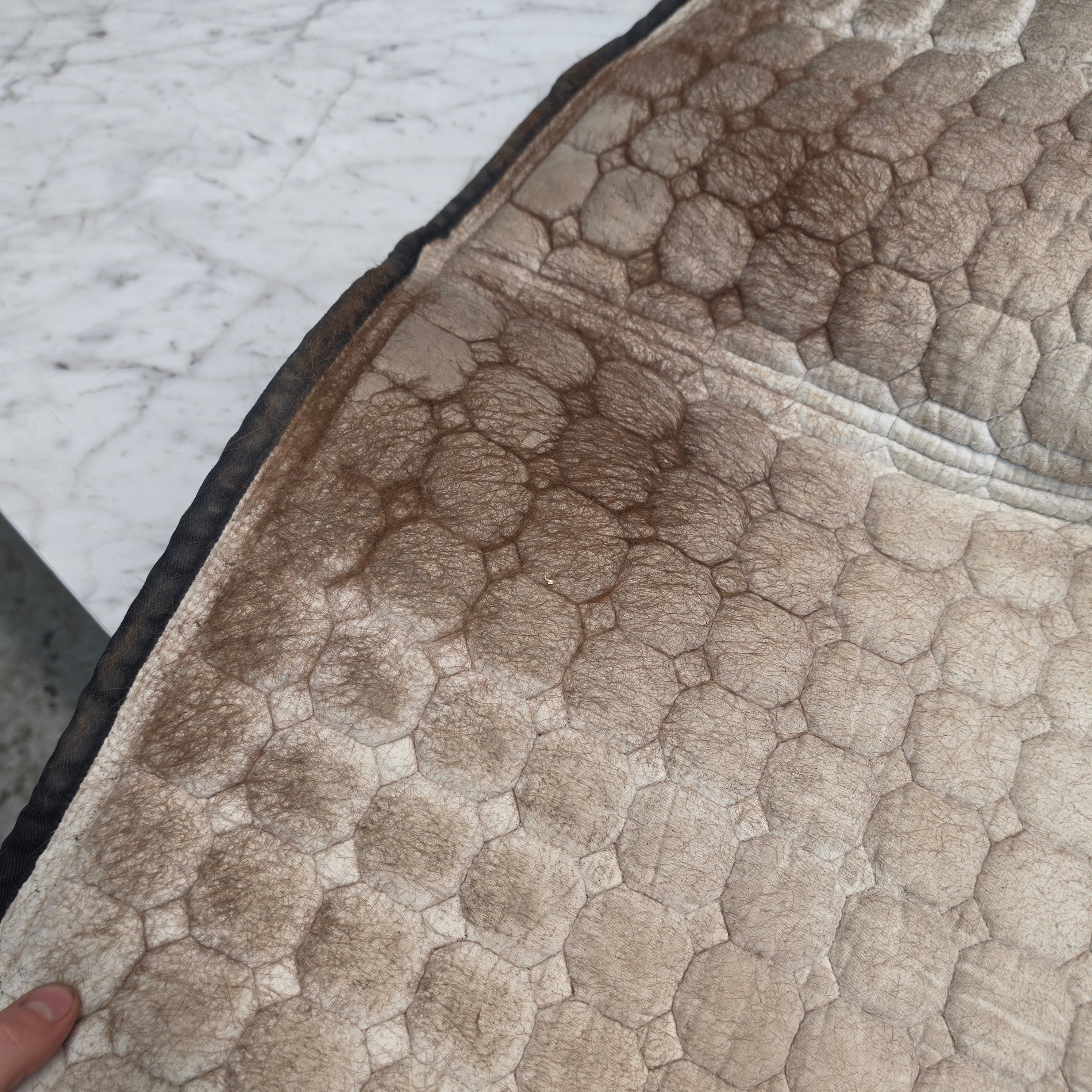 Hoppschabrak Octagon Rio | Full