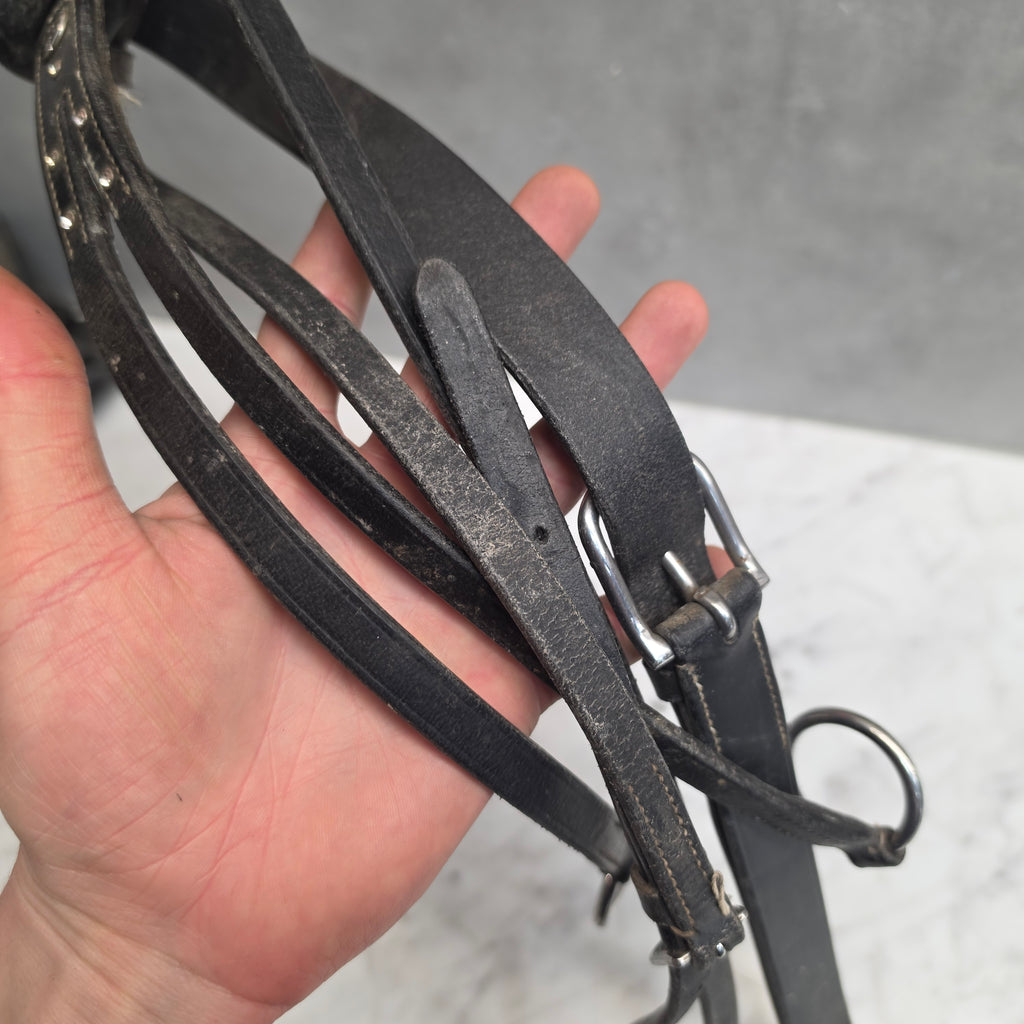 Martingal Bling | Ponny