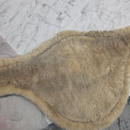 Magplatta Teddy | 120