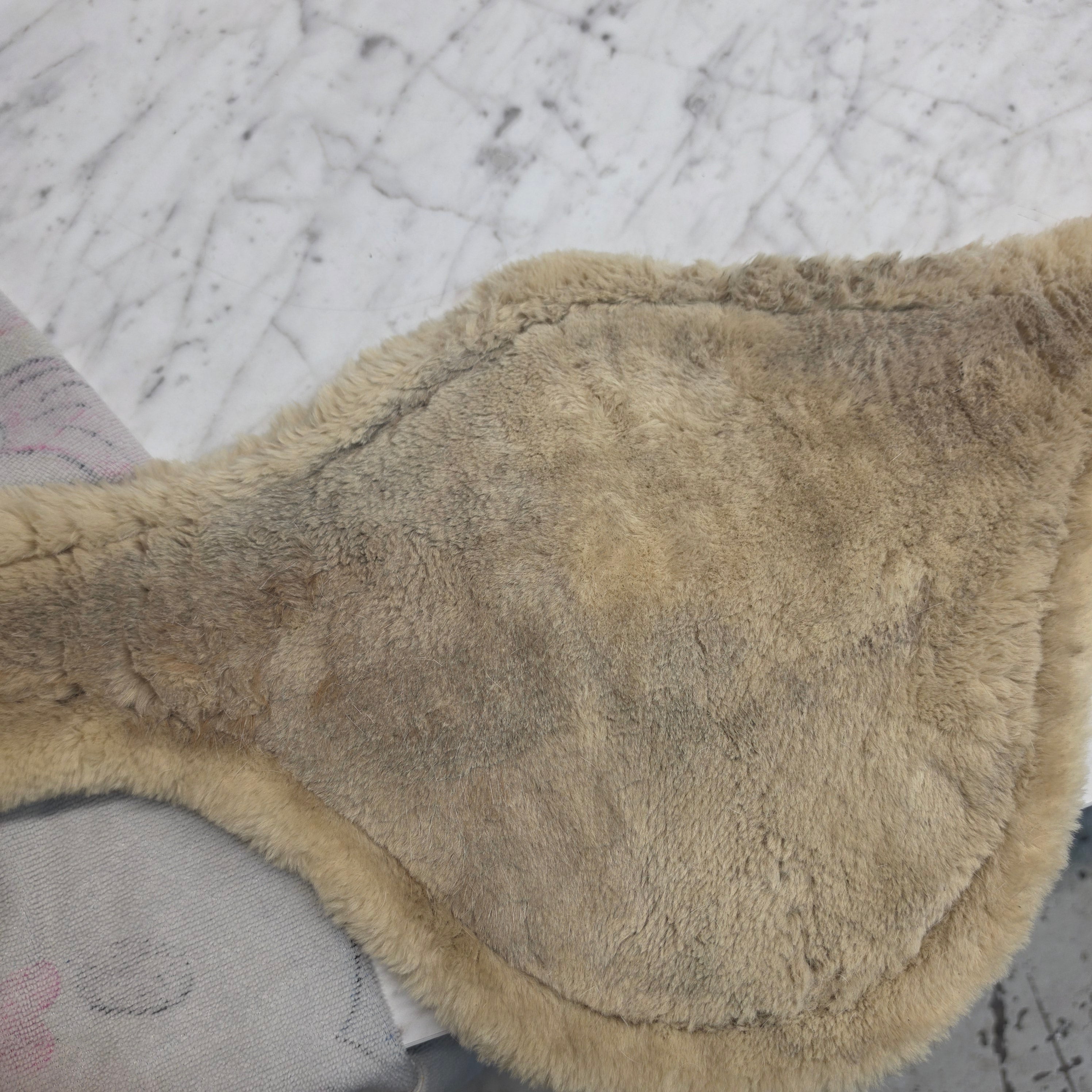 Magplatta Teddy | 120