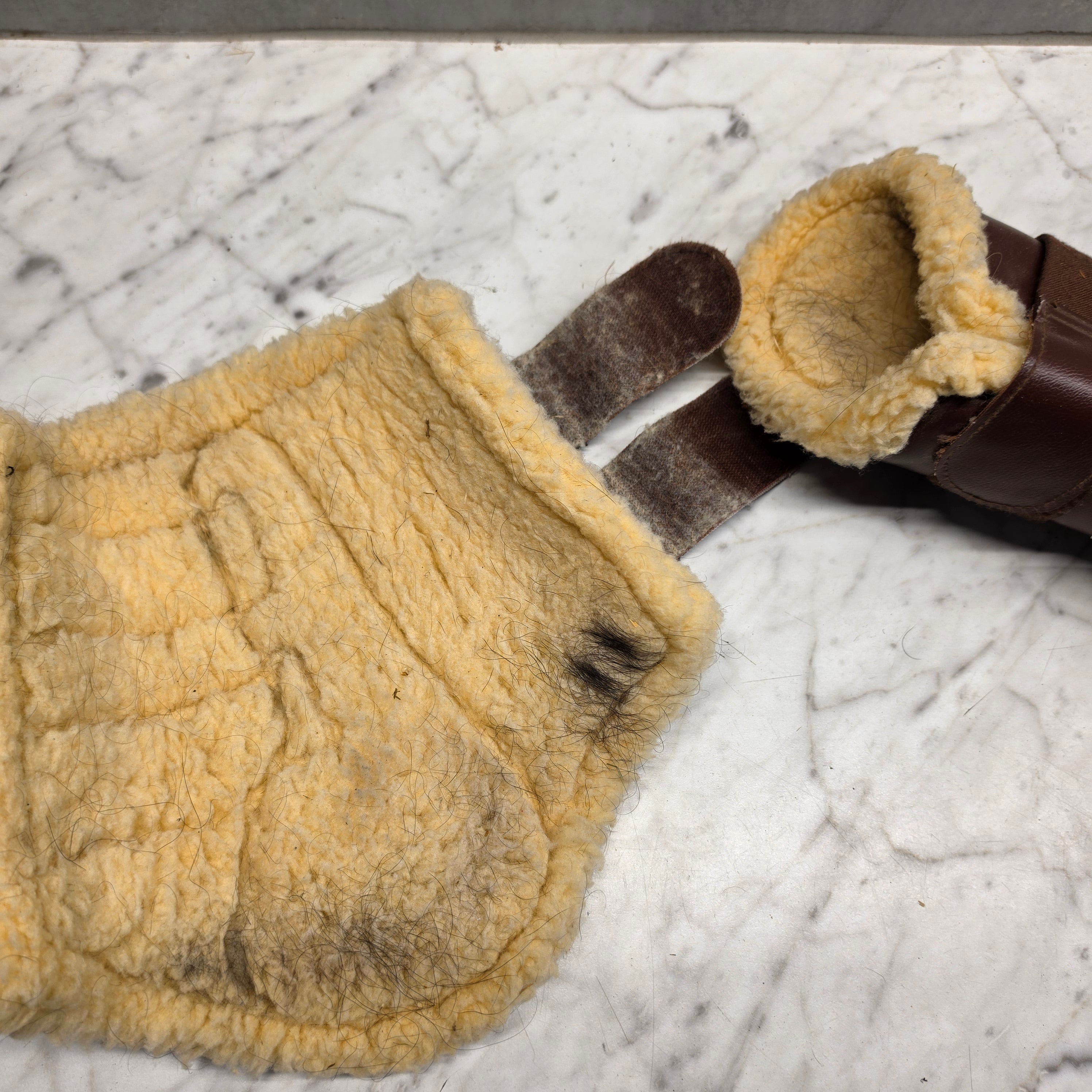 Benskydd Teddy | M