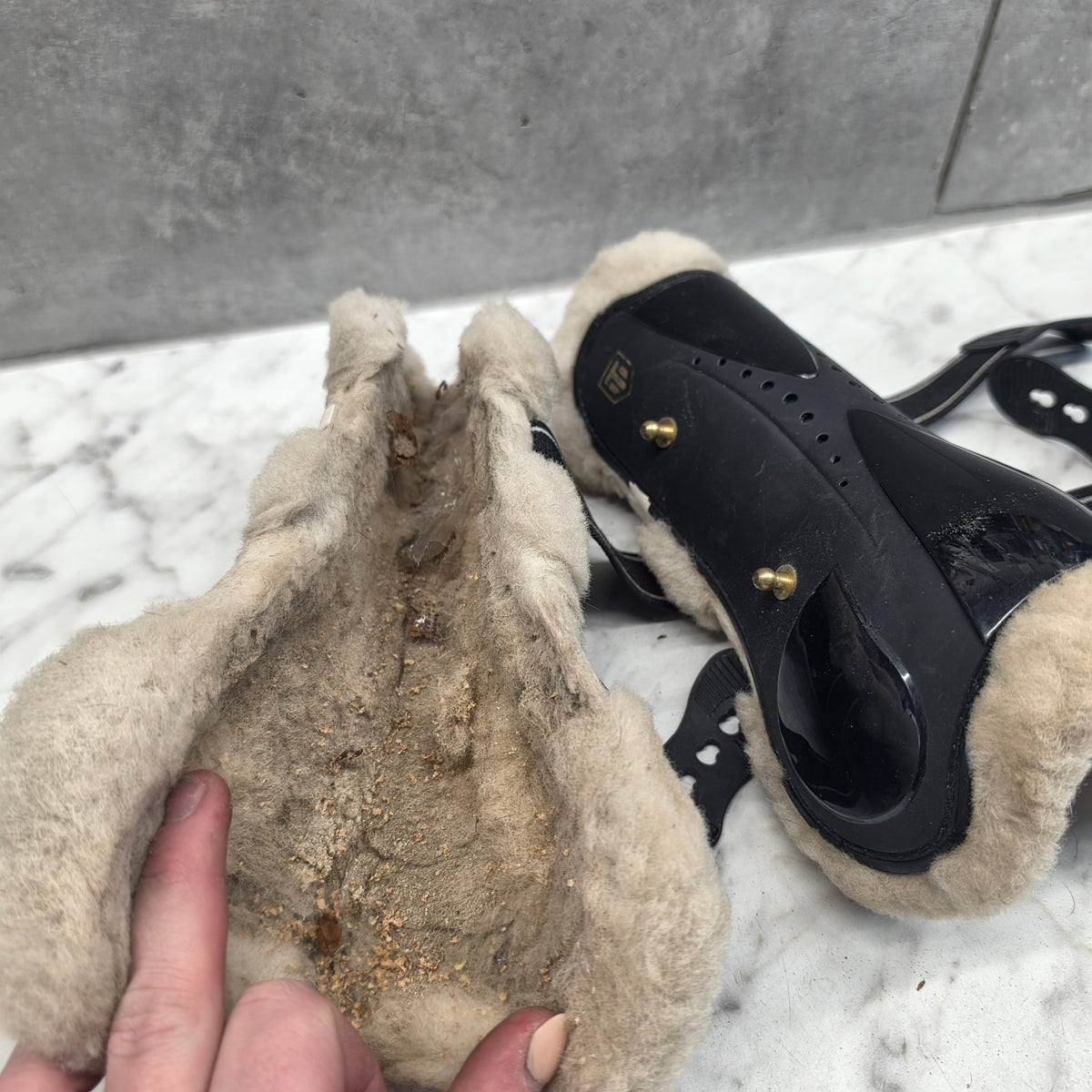 Senskydd Teddy | S