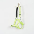 Grimma Reflex | Ponny
