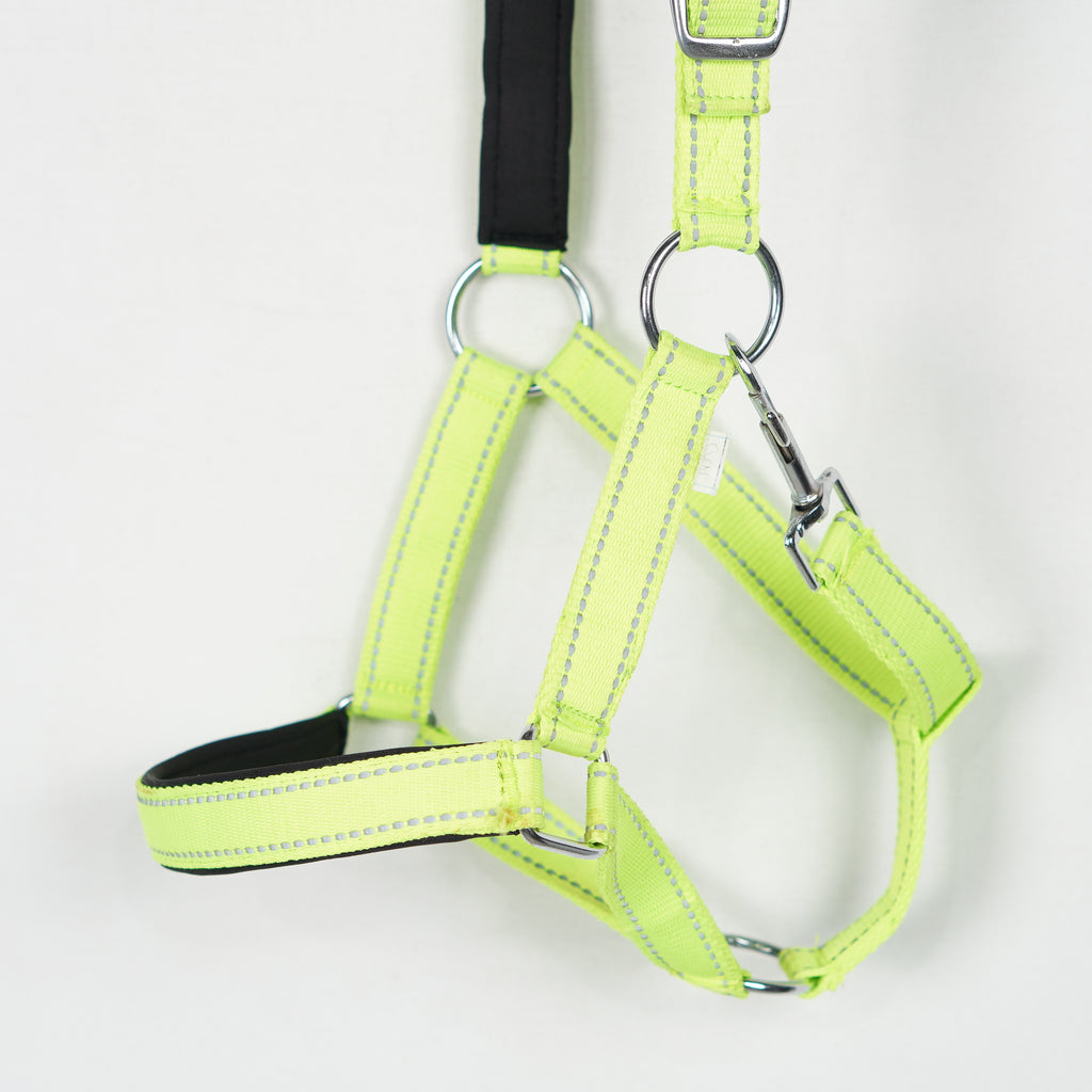 Grimma Reflex | Ponny