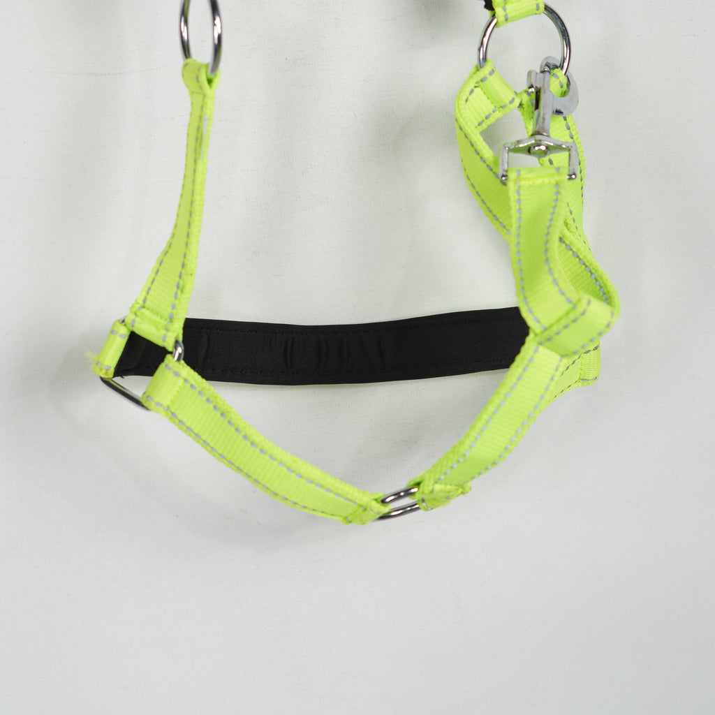 Grimma Reflex | Ponny