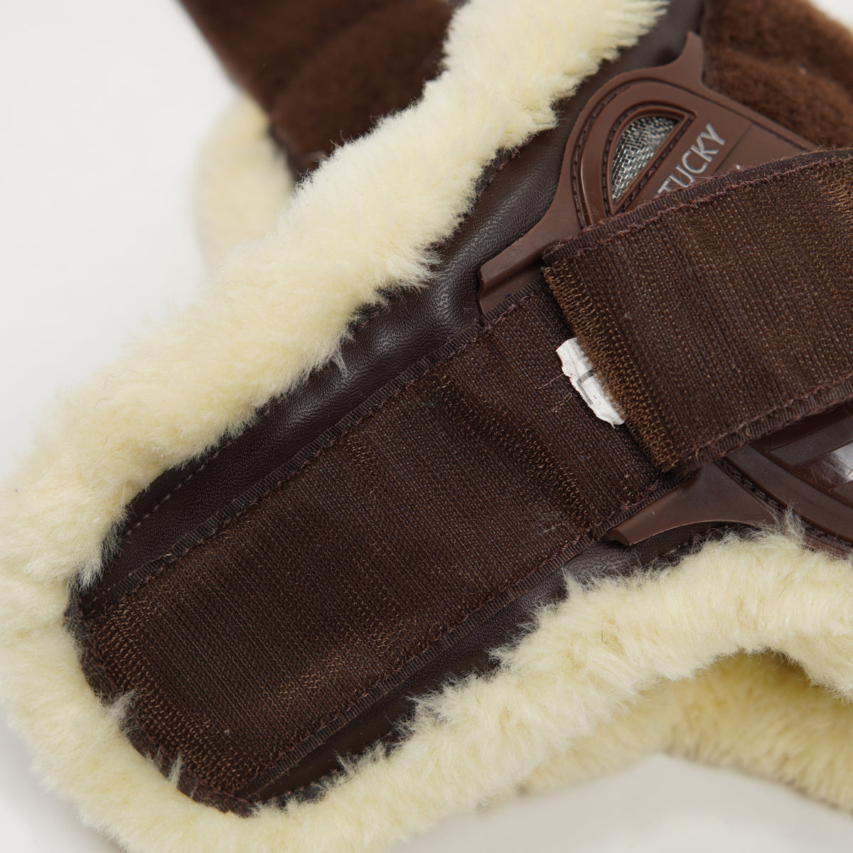 Bakskydd Teddy | L