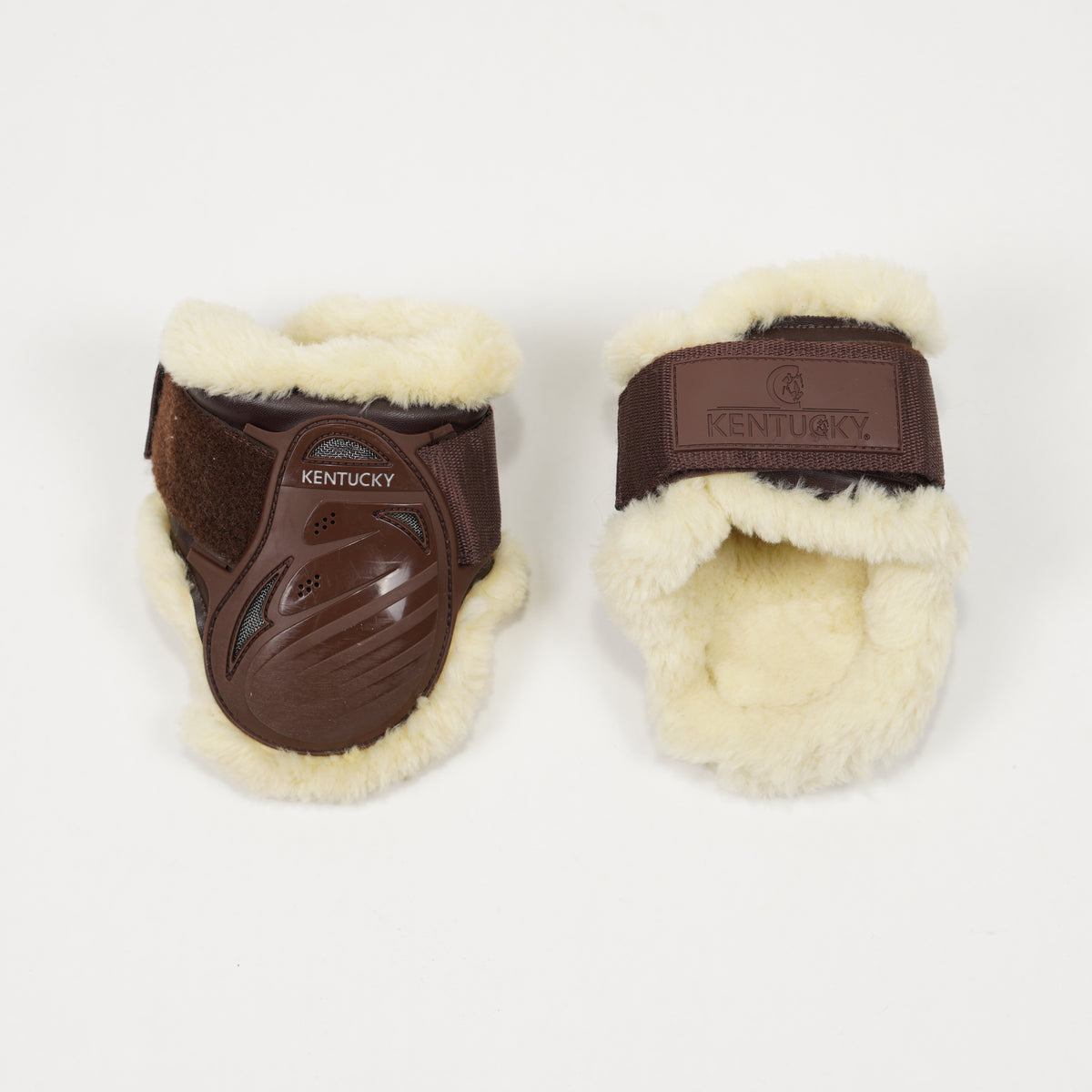 Bakskydd Teddy | L