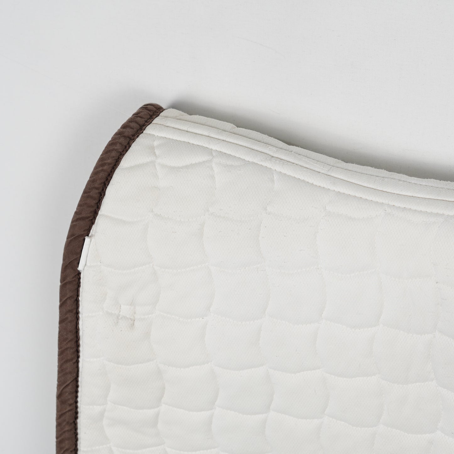 Dressyrschabrak | Full