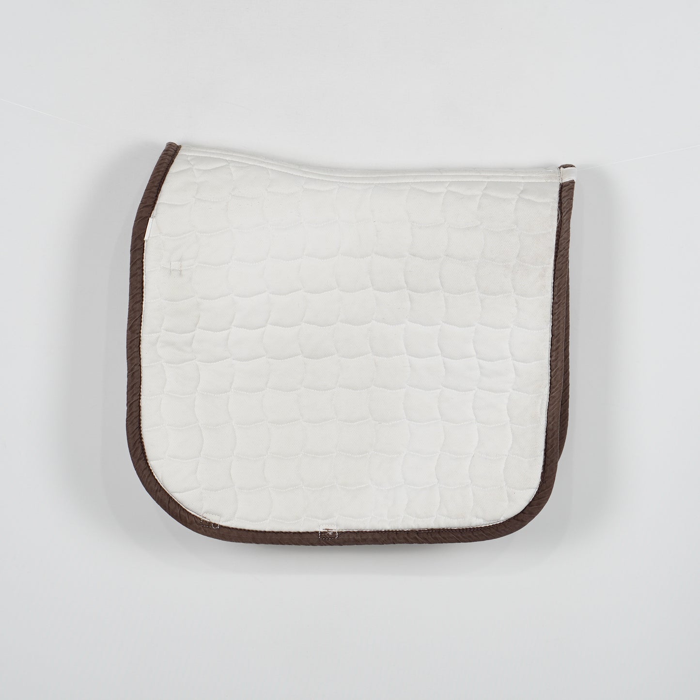 Dressyrschabrak | Full