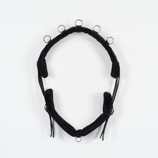 Longeringsgjord Teddy | Ponny