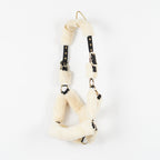 Grimma Teddy | Ponny