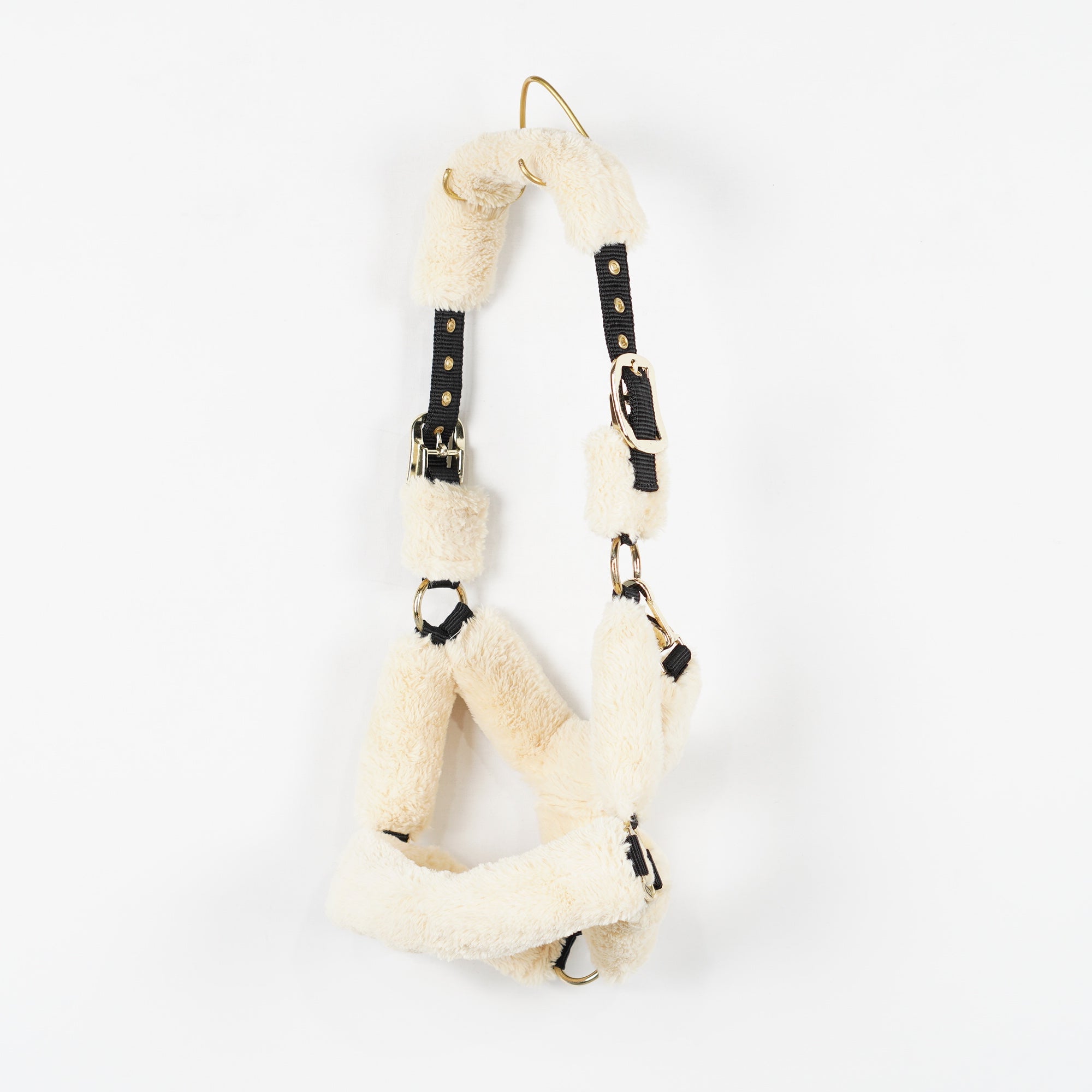 Grimma Teddy | Ponny
