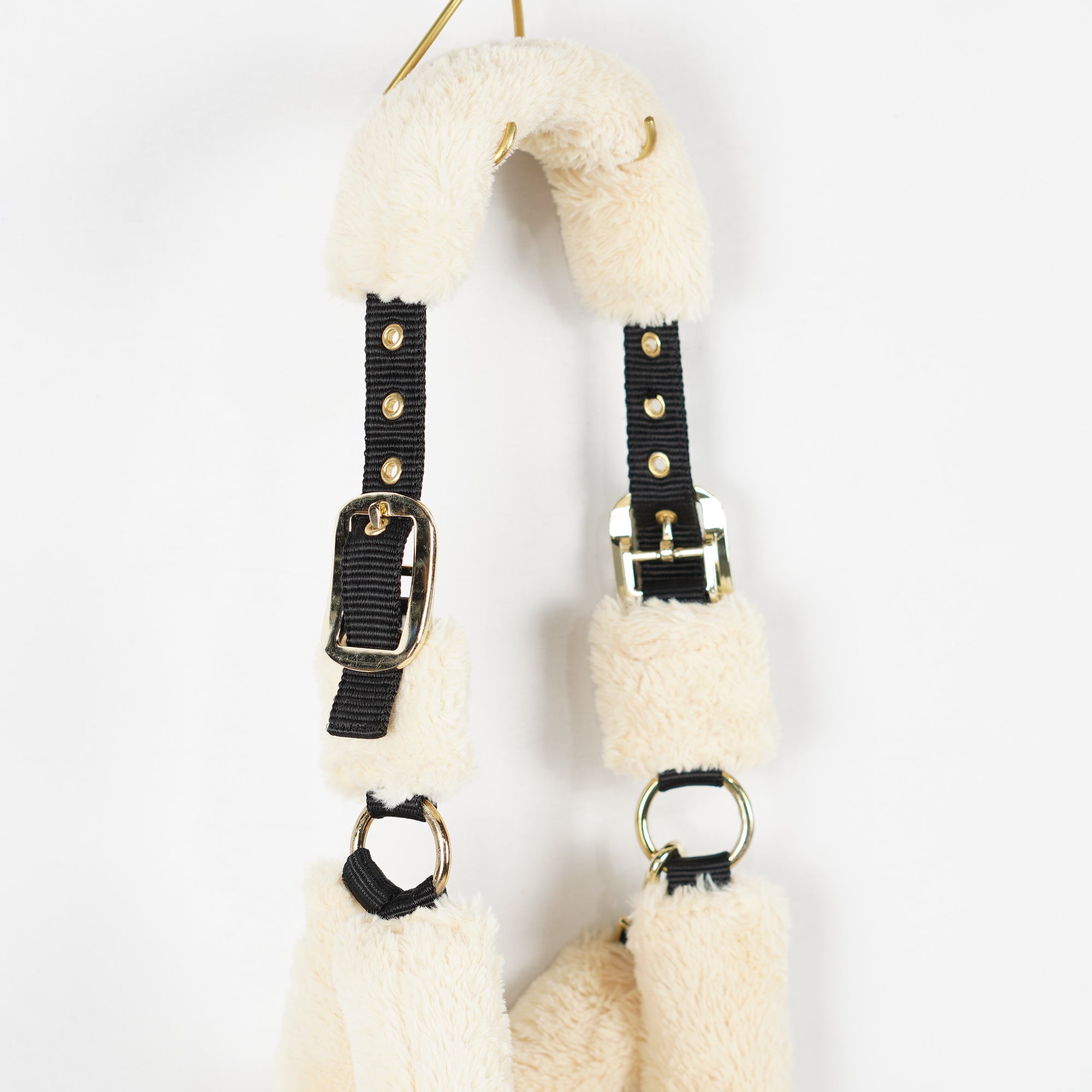 Grimma Teddy | Ponny