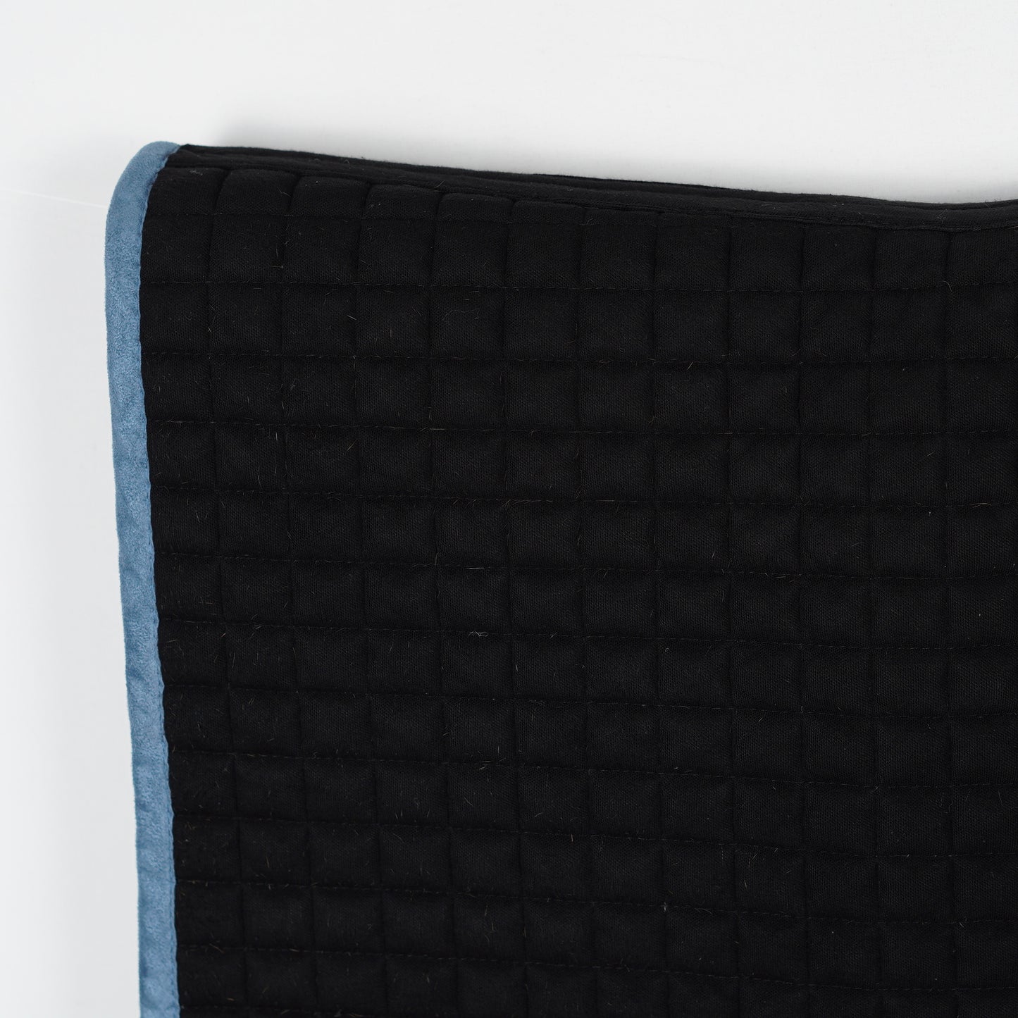 Dressyrschabrak Suede | Cob