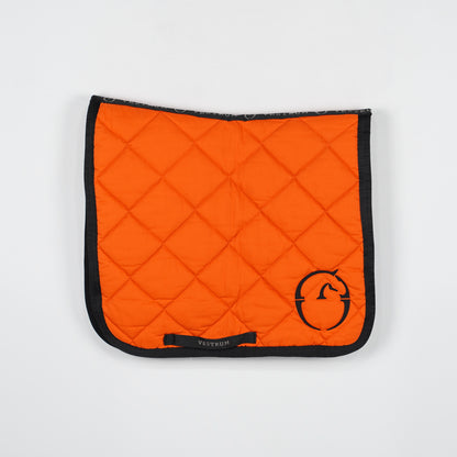 Dressyrschabrak | Full