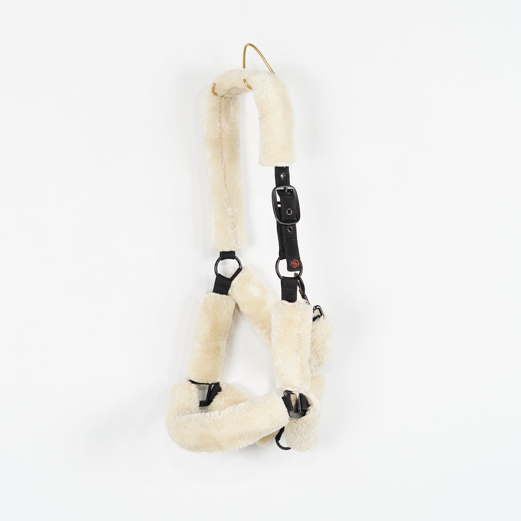 Grimma Teddy | Full