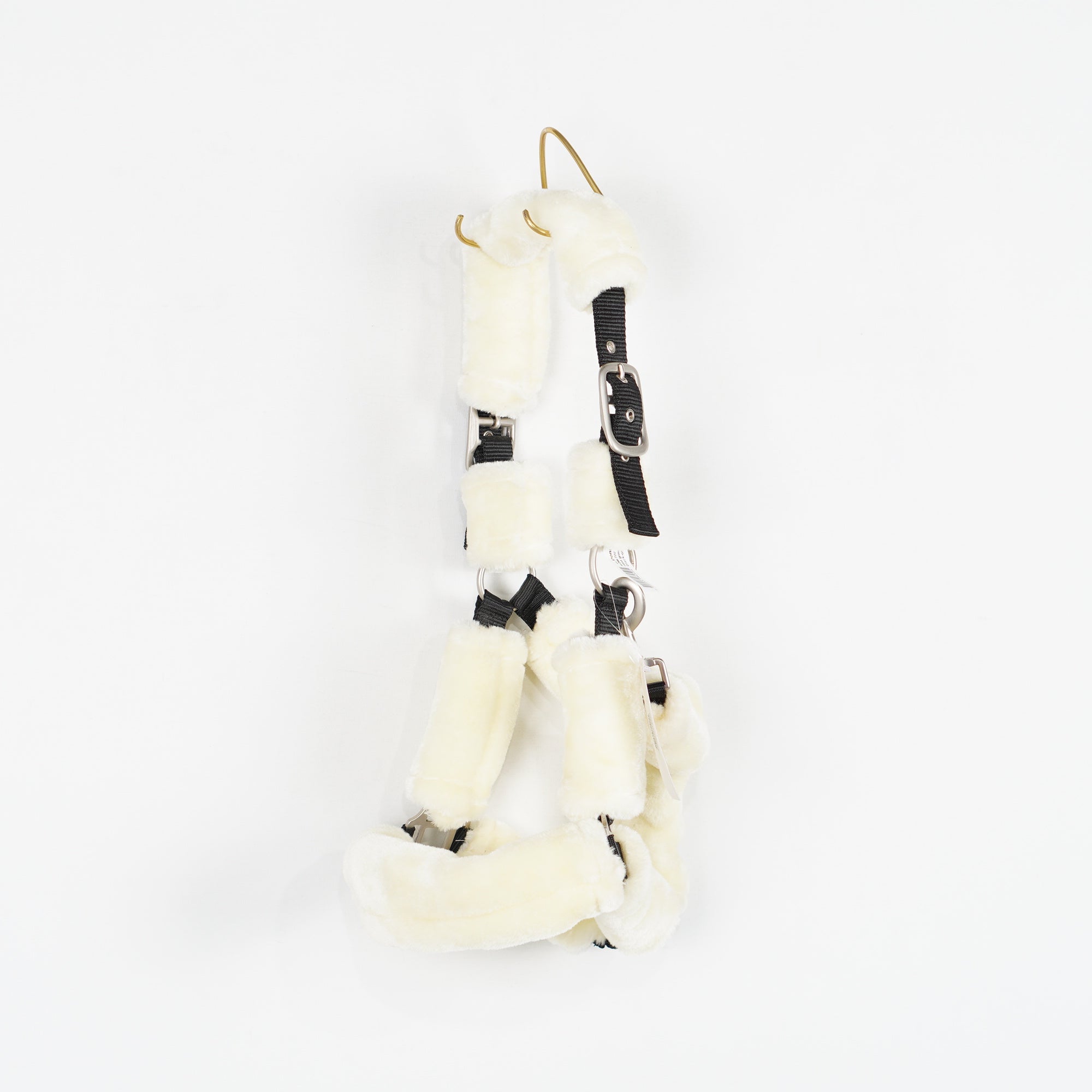 Grimma Teddy | Ponny