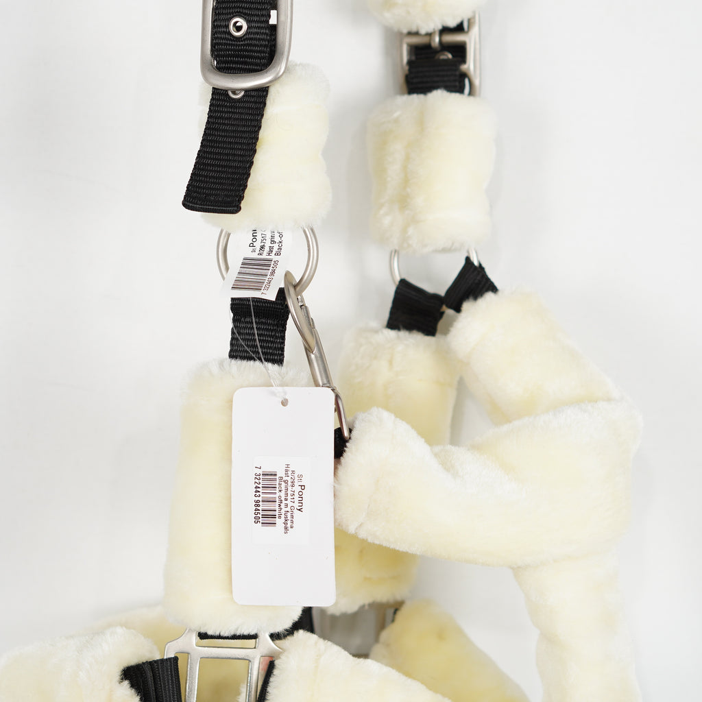 Grimma Teddy | Ponny