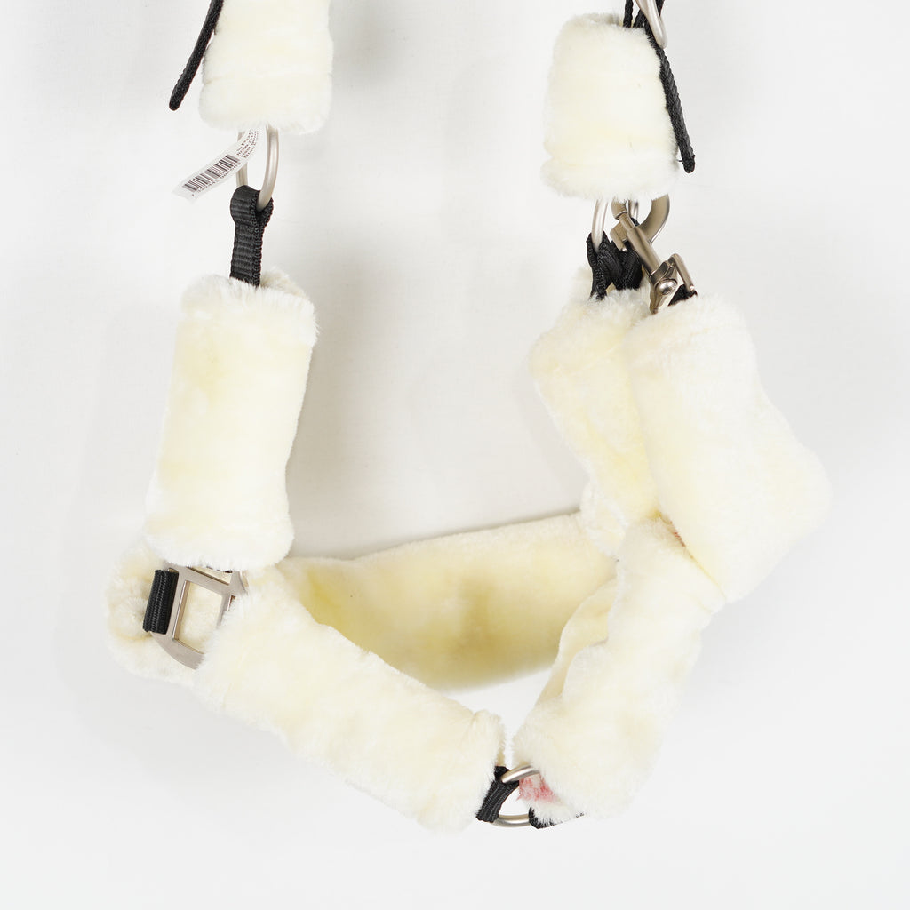 Grimma Teddy | Ponny