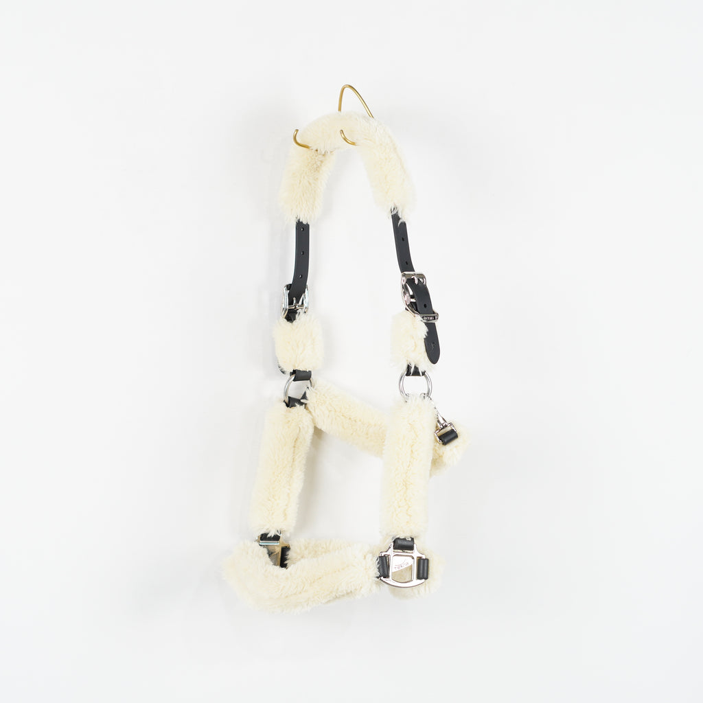 Grimma Teddy | Full