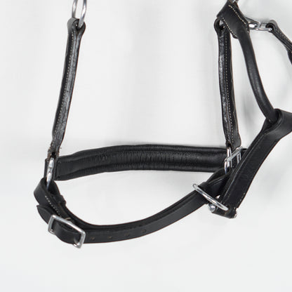 Lädergrimma Stich | Ponny