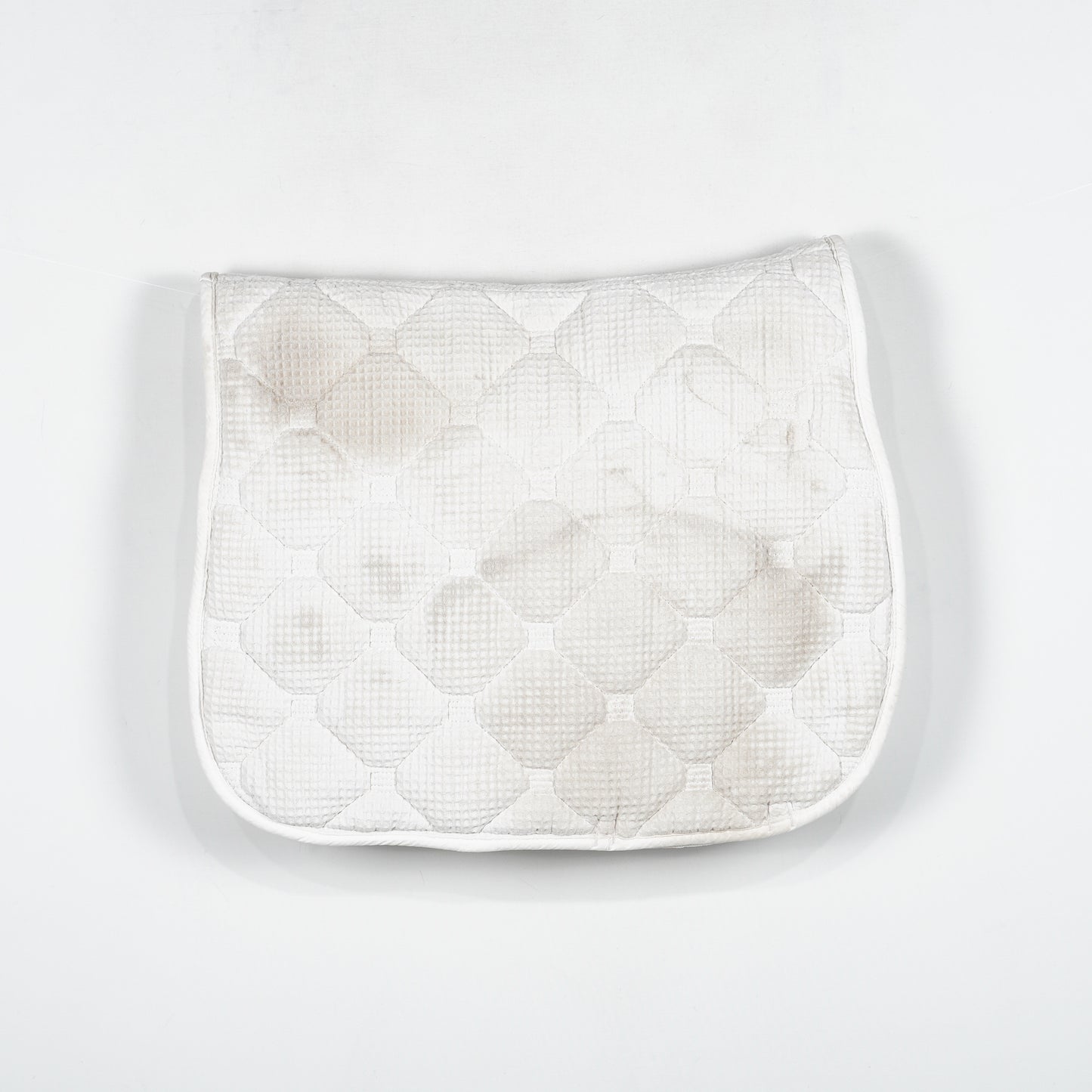 Dressyrschabrak | Full