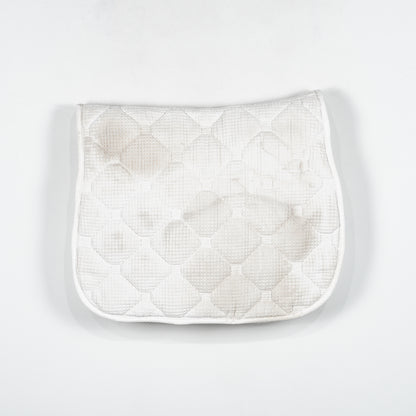 Dressyrschabrak | Full