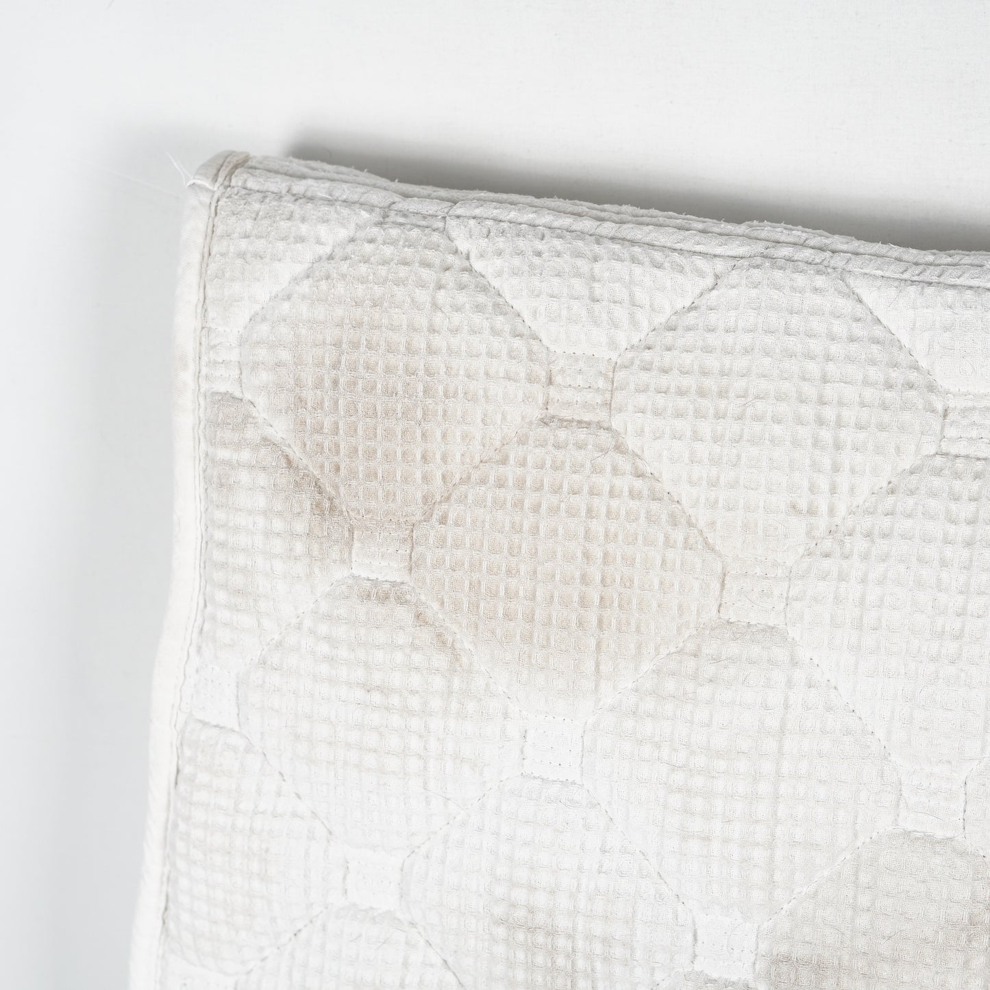 Dressyrschabrak | Full