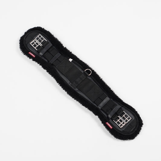 Dressyrgjord Teddy | 60