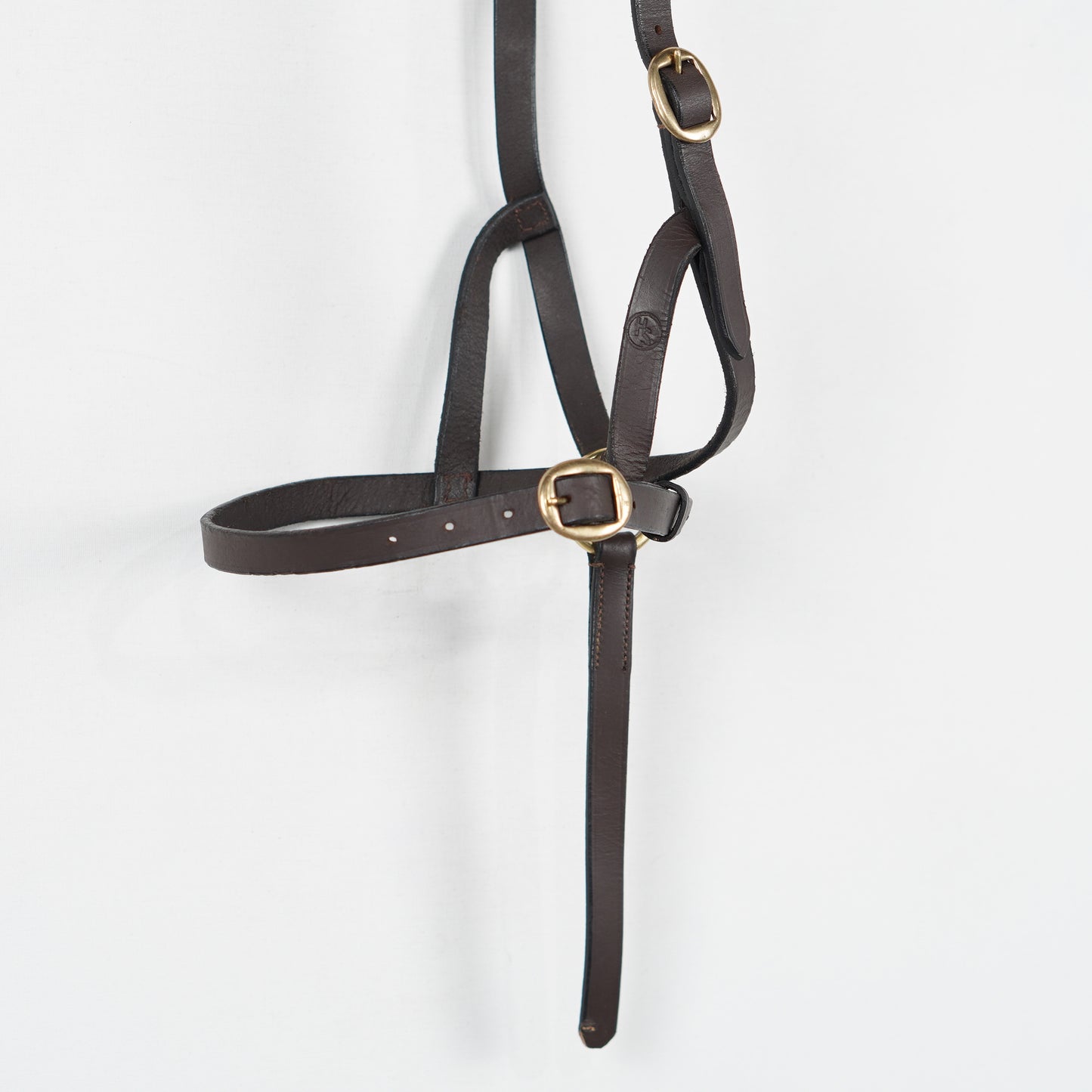 Visningsgrimma Läder | Föl