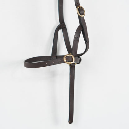 Visningsgrimma Läder | Föl