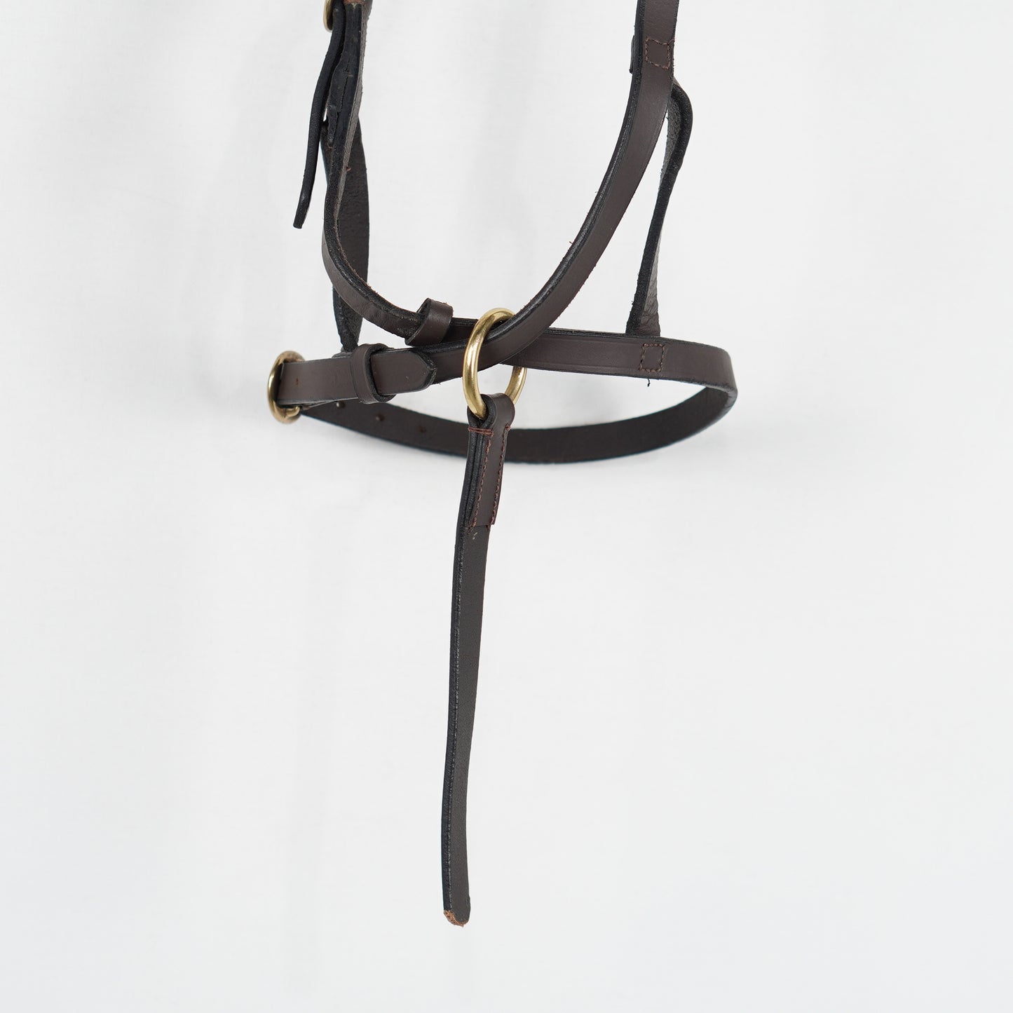 Visningsgrimma Läder | Föl