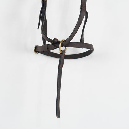 Visningsgrimma Läder | Föl