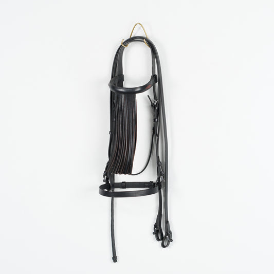 Träns Spanskt | Full