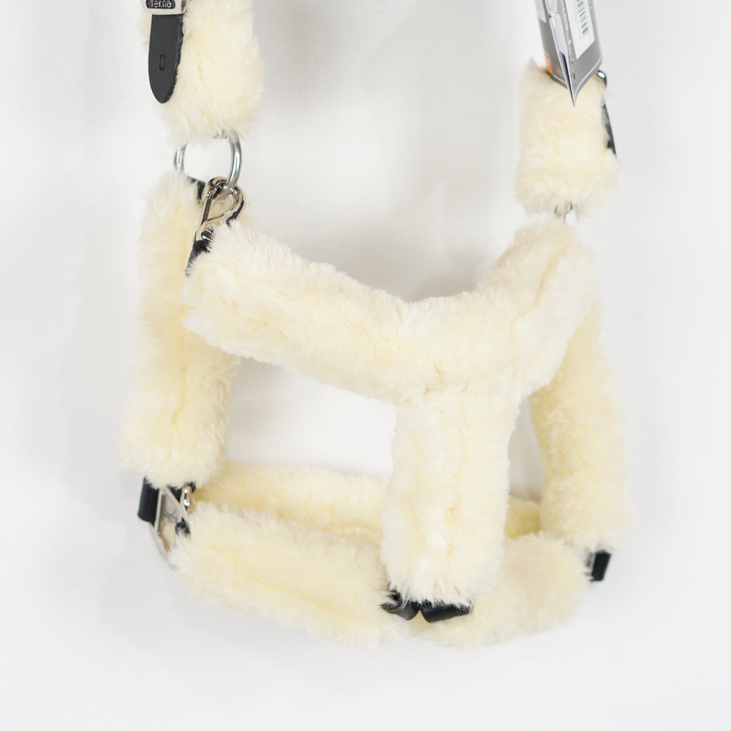 Grimma Teddy | Cob