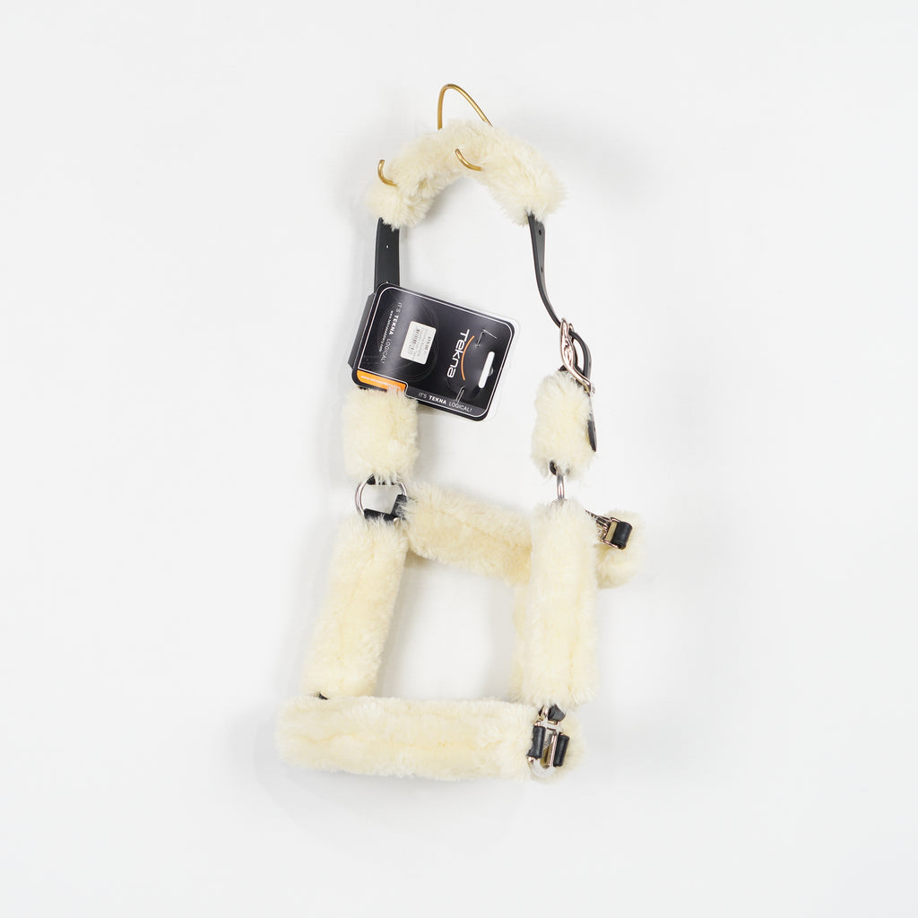 Grimma Teddy | Cob