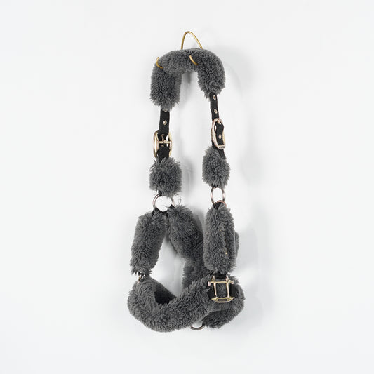 Grimma Teddy | Ponny