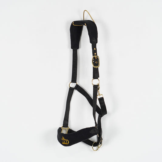 Grimma Crown | X-Full