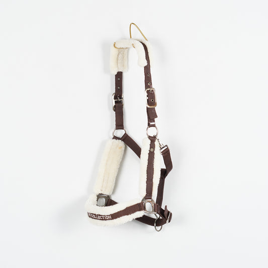 Grimma Teddy Cesano | Full