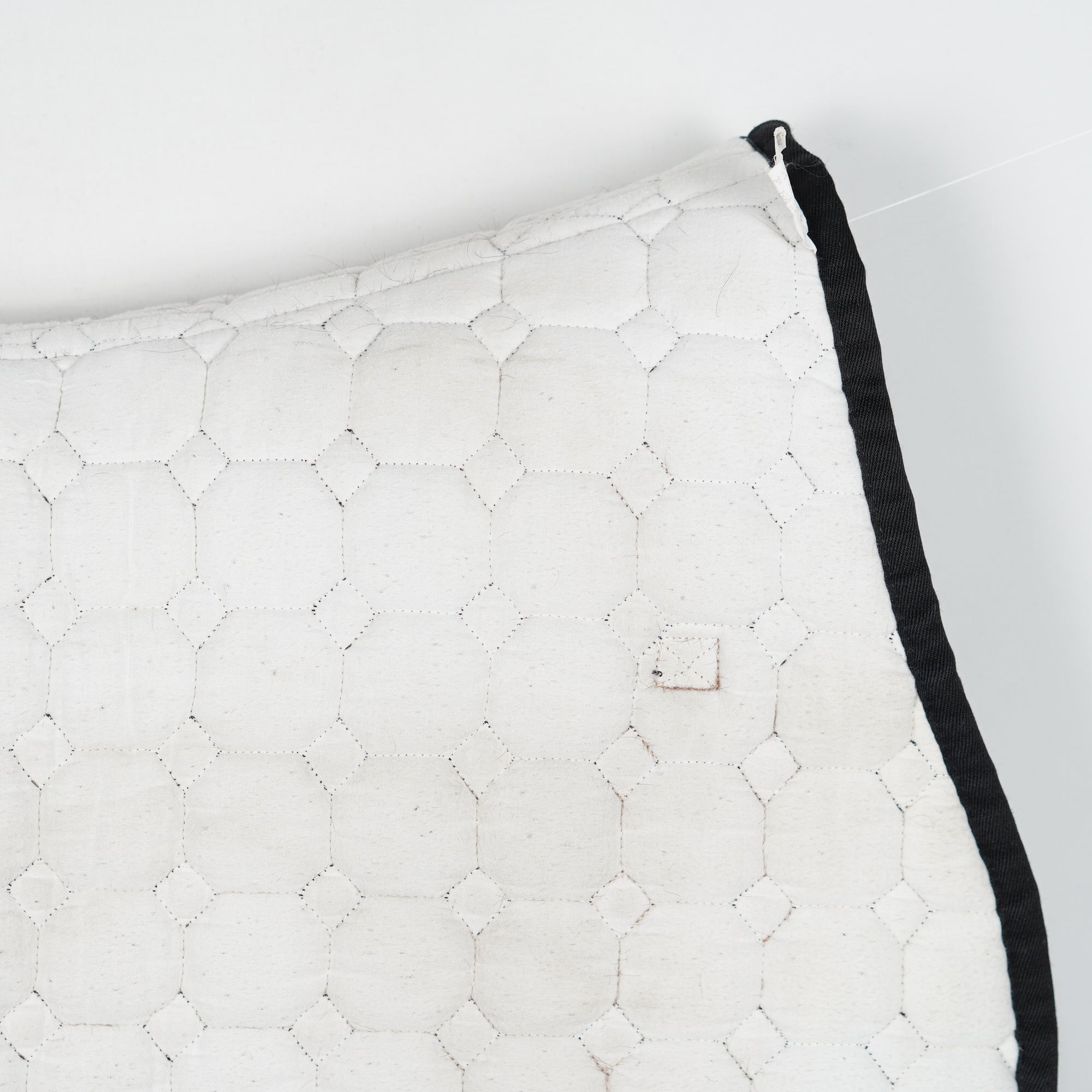 Hoppschabrak Octagon Rio | Full