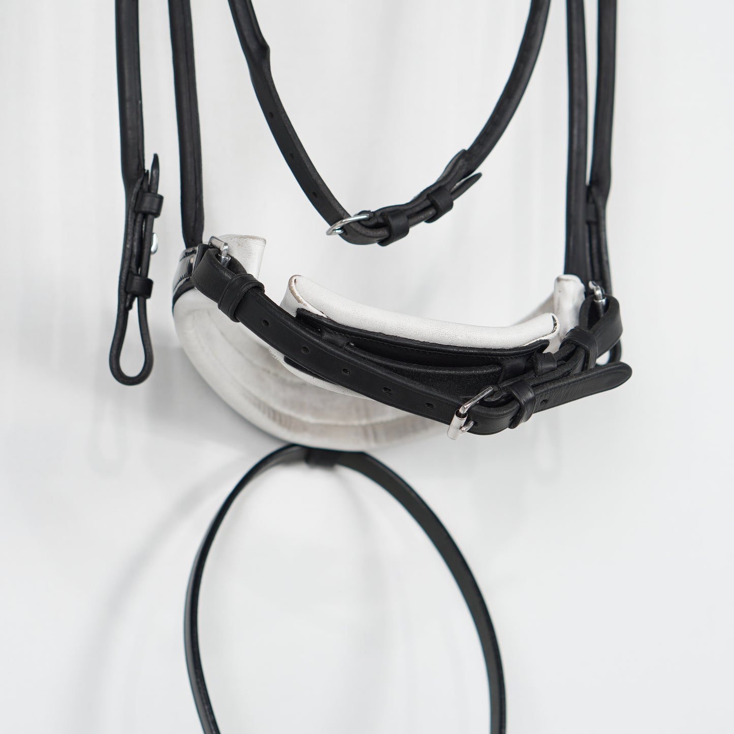 Dressyrträns | Full