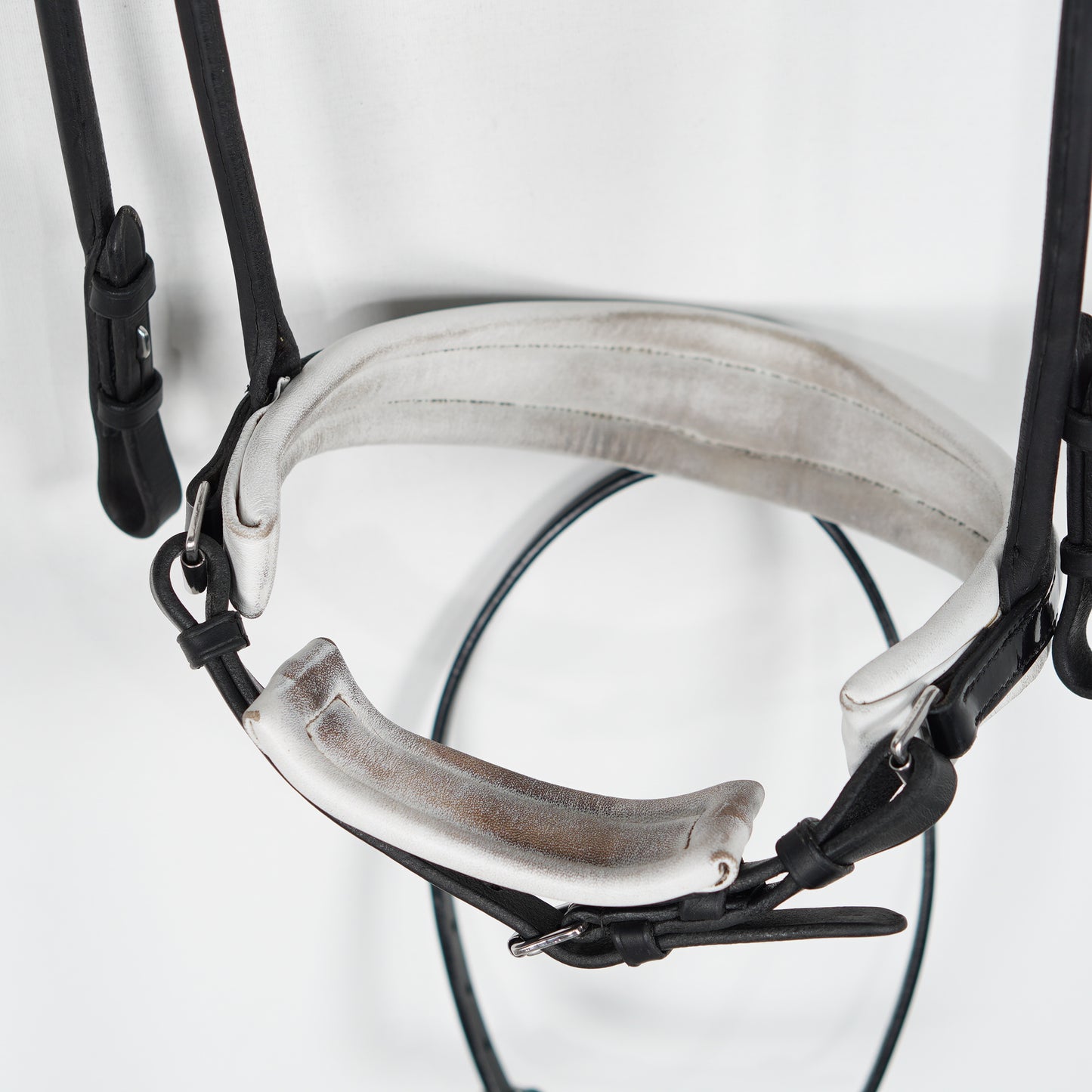 Dressyrträns | Full