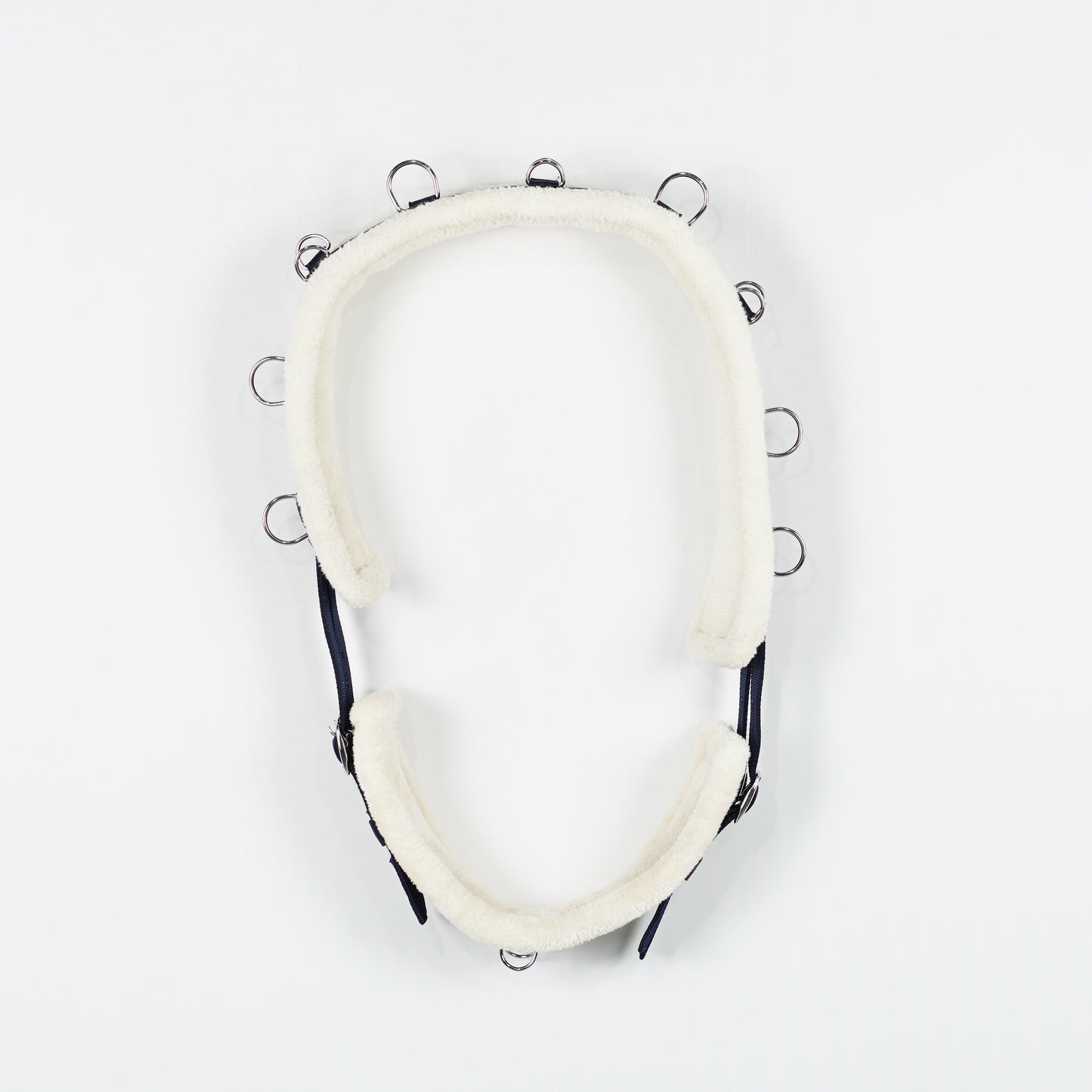 Longeringsgjord Teddy | Full